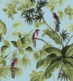 tropical-birds-421605